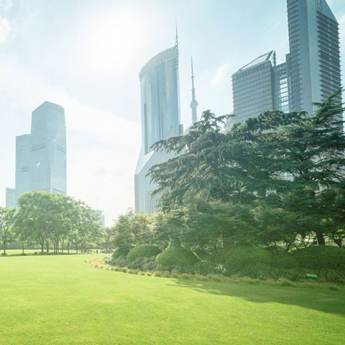 Green lawn in a sustainable city.